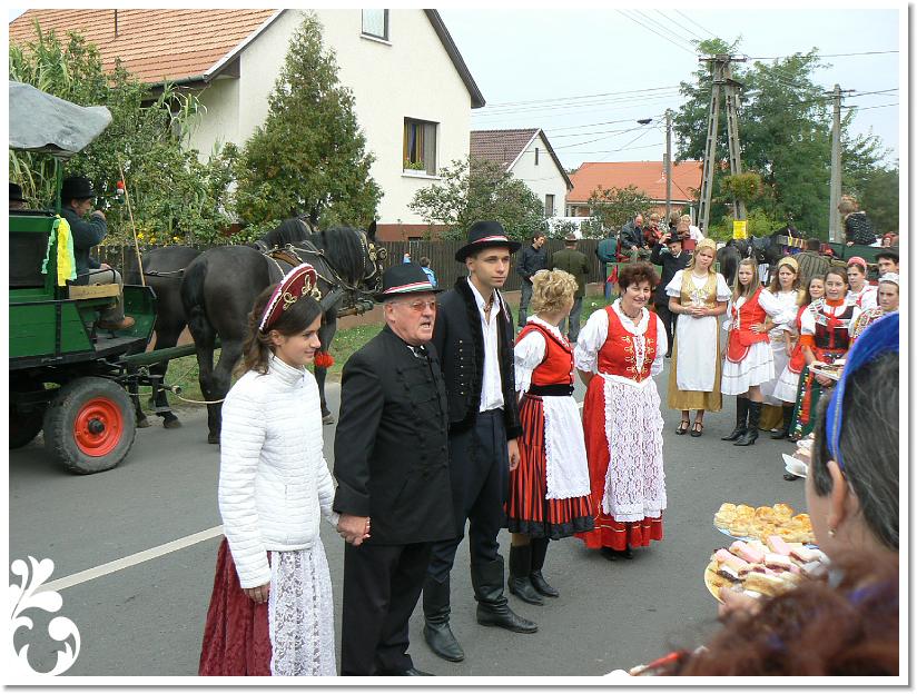 Szuret Felv es Bal_077